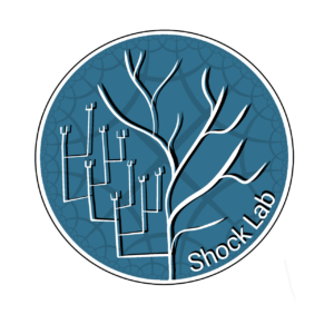 Shocklab